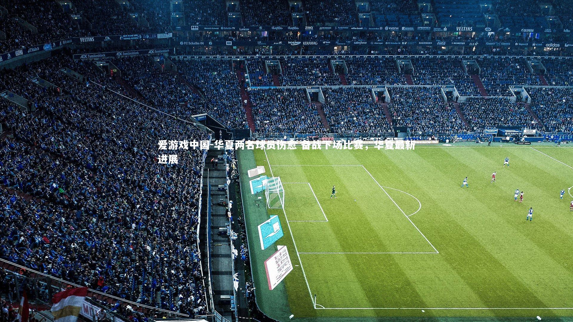 华夏两名球员伤愈 备战下场比赛,华夏最新进展