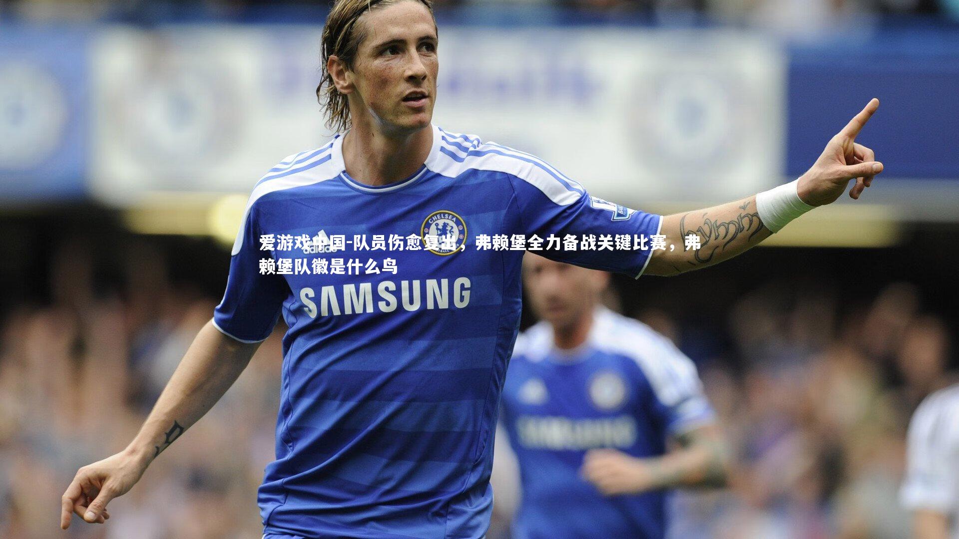 队员伤愈复出，弗赖堡全力备战关键比赛，弗赖堡队徽是什么鸟