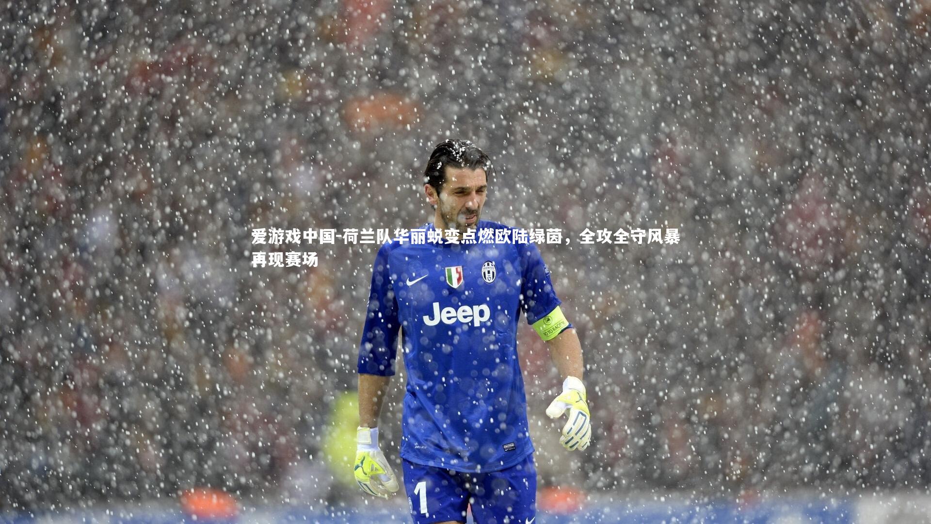 荷兰队华丽蜕变点燃欧陆绿茵，全攻全守风暴再现赛场